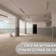 Hala na wynajem